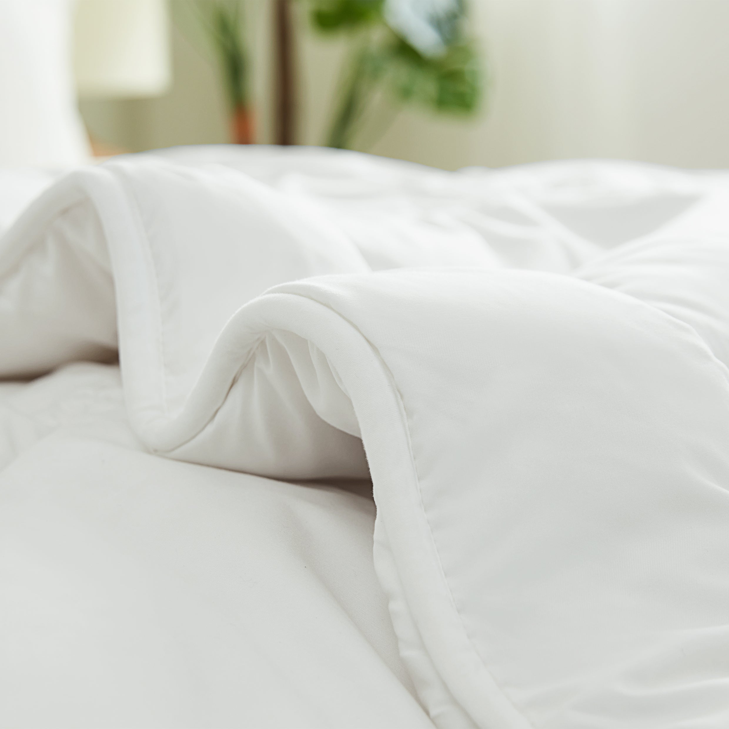 高級羊毛被(冬厚被)