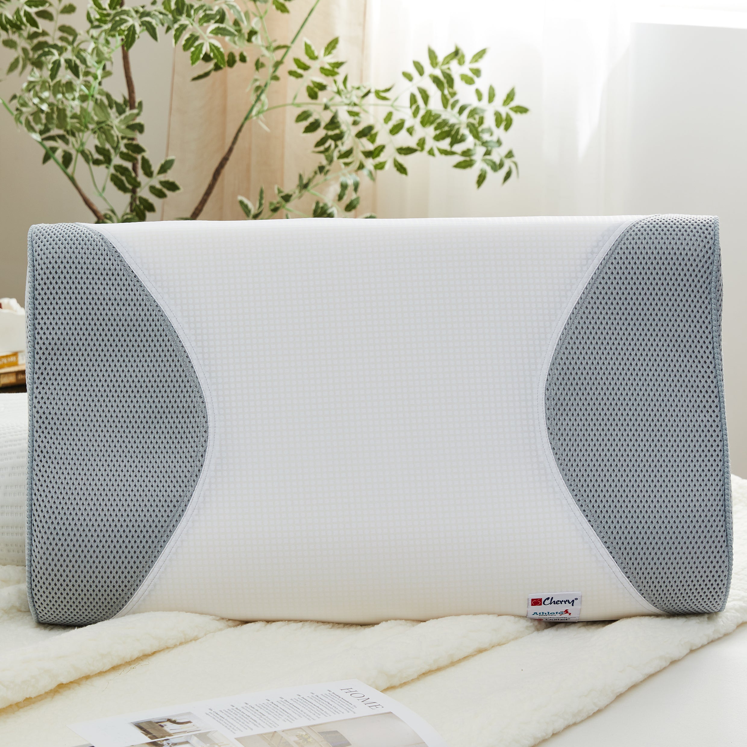 Outlast® 感溫記憶凝氧枕頭