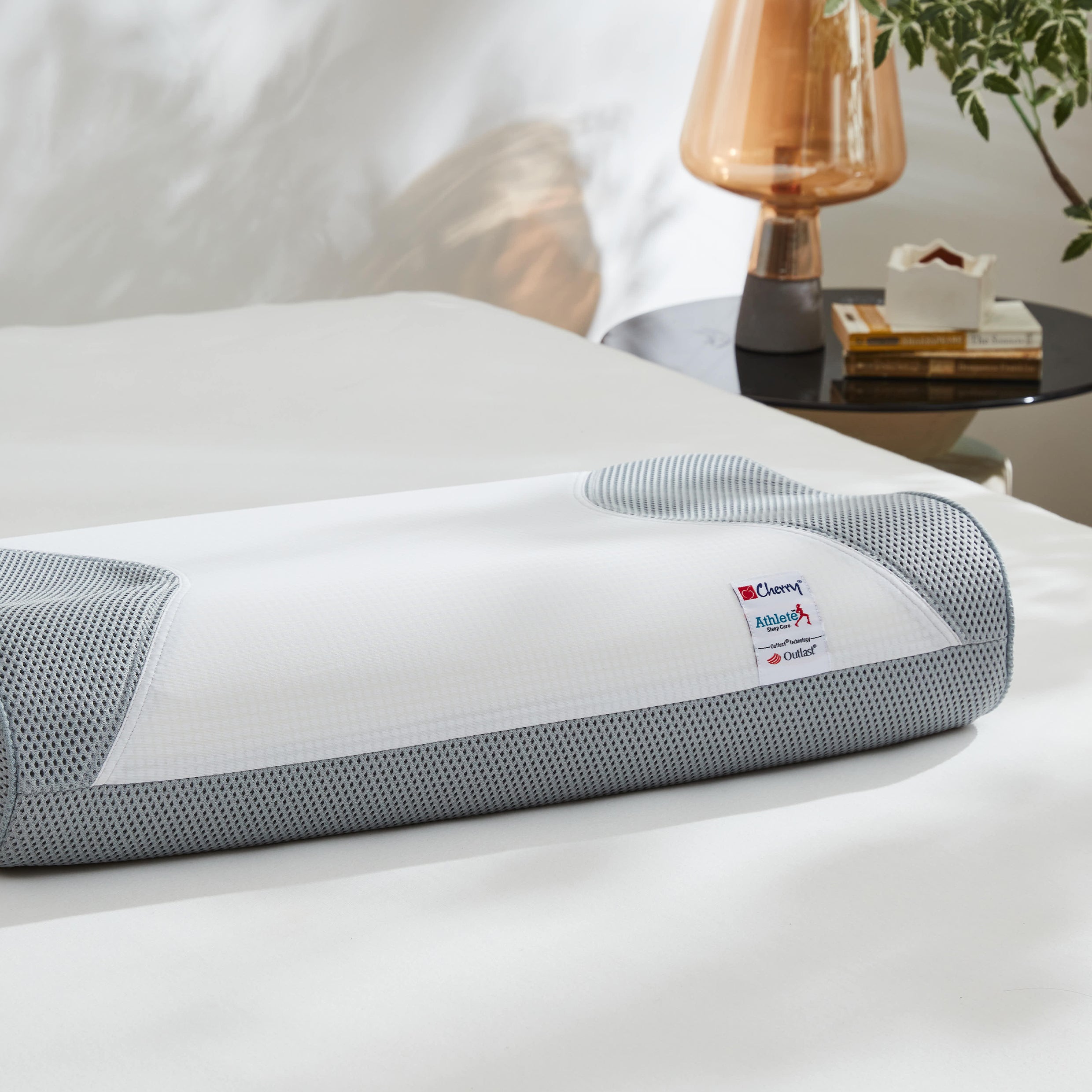 Outlast® 感溫記憶凝氧枕頭