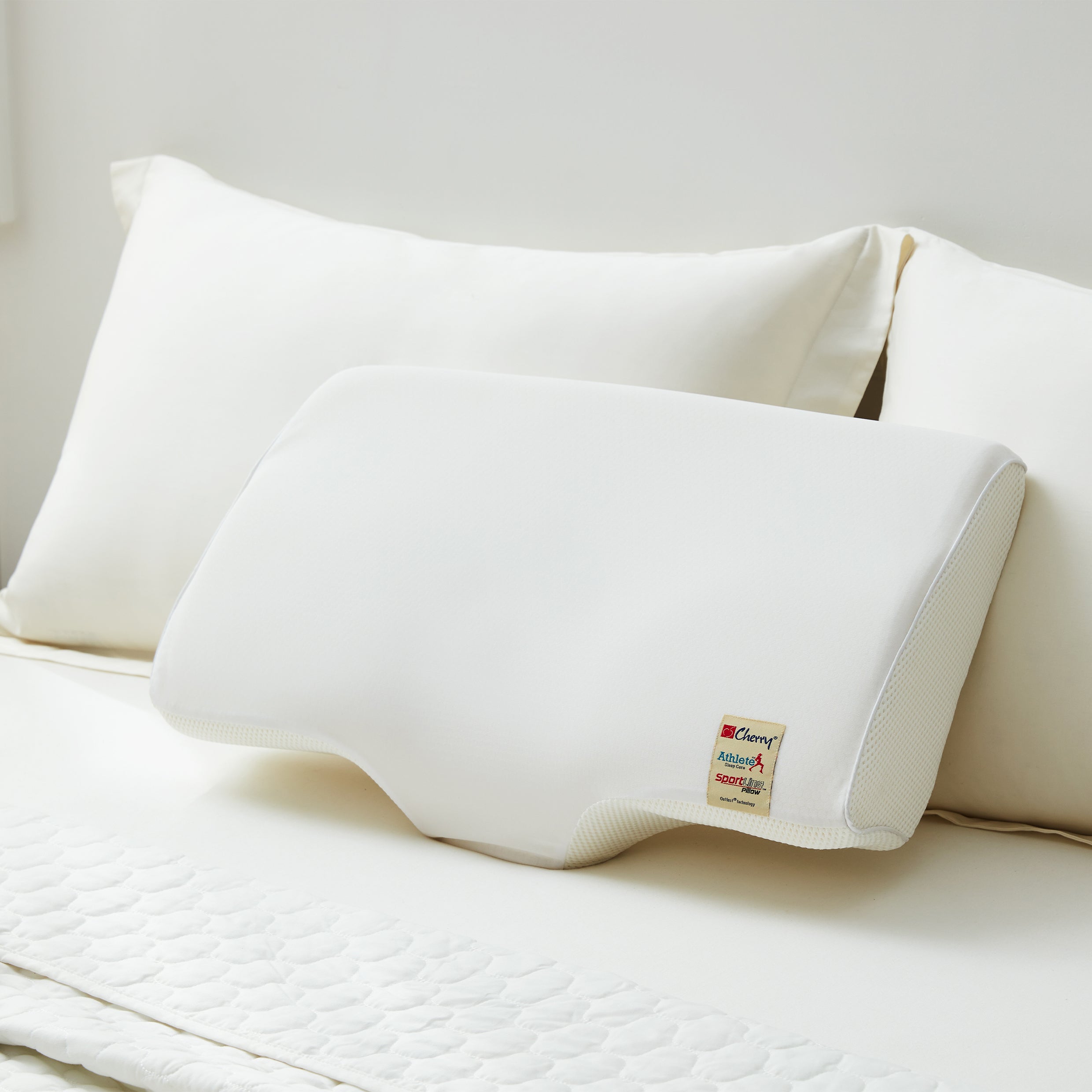 Outlast® 感溫記憶凝氧枕頭(升級版)