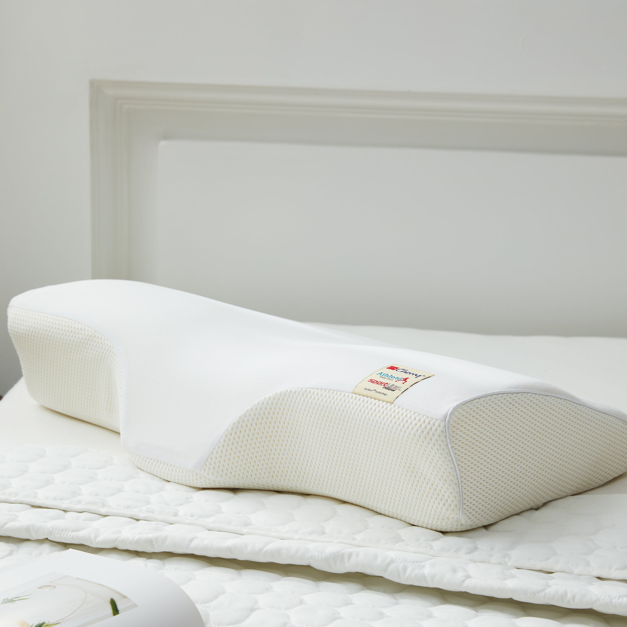 Outlast® 感溫記憶凝氧枕頭(升級版)