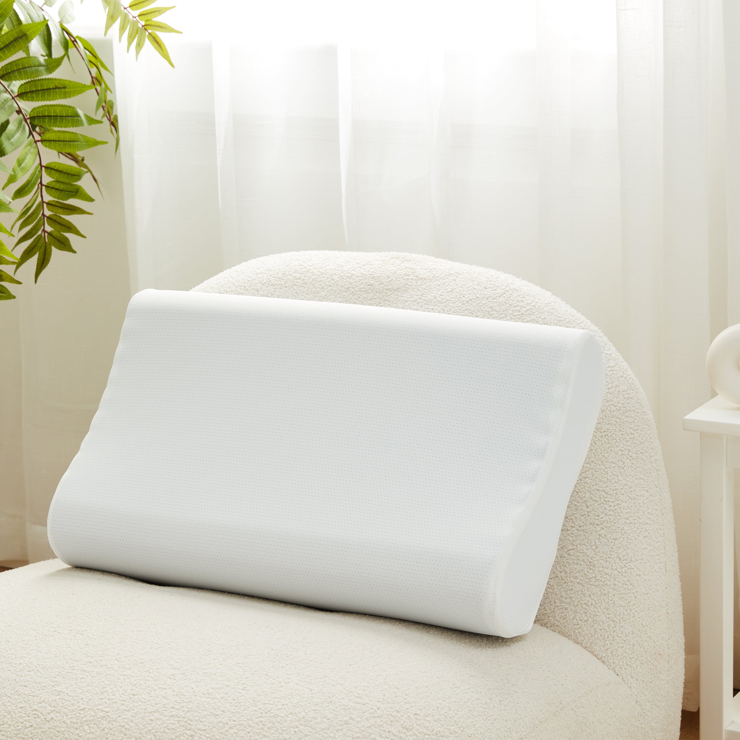 黑科技能量枕(石墨烯)