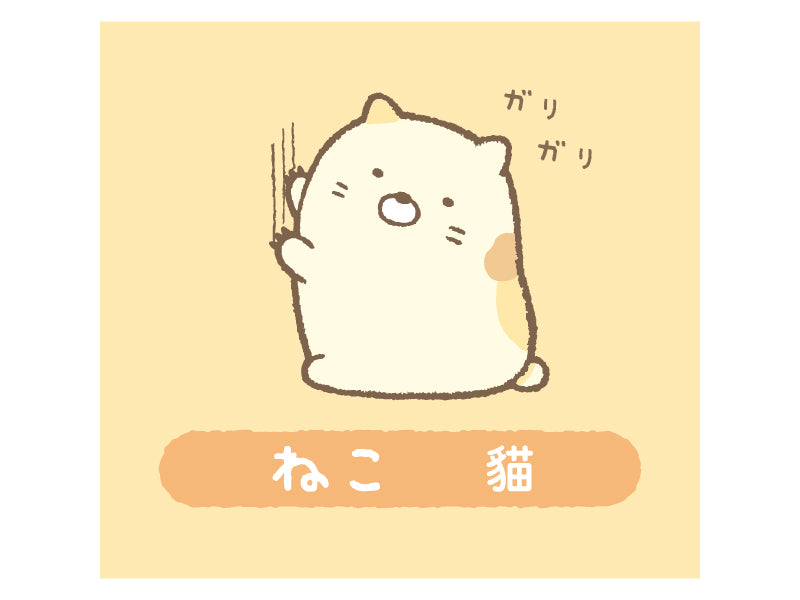 貓